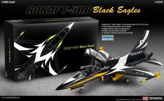 T-50B Black Eagles 1:48